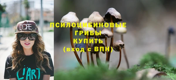 скорость mdpv Горнозаводск